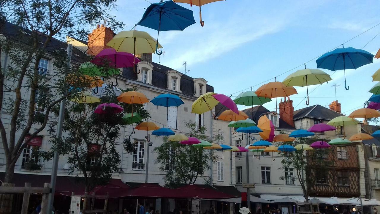 Saumur Loire Chambres Et Gite Vernantes Zewnętrze zdjęcie